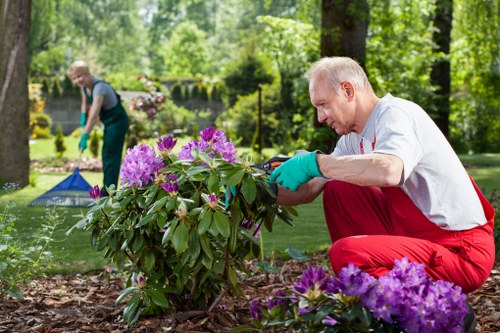 Turnham Green seasonal garden maintenance